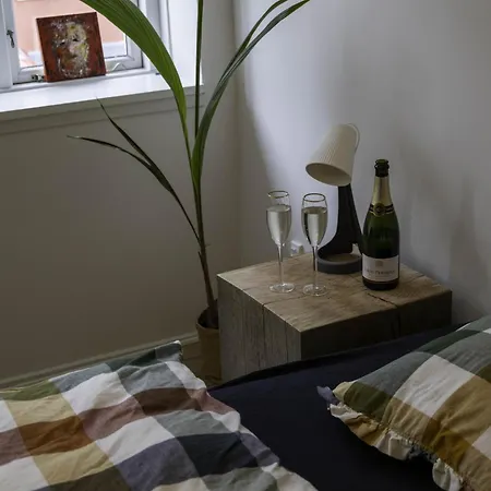 Homestay szállás Hyggelig Byhus I Stueplan Med Solrig Gardhave *
